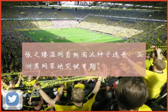 张之臻温网首轮淘汰种子选手,亚洲男网草地突破可期?